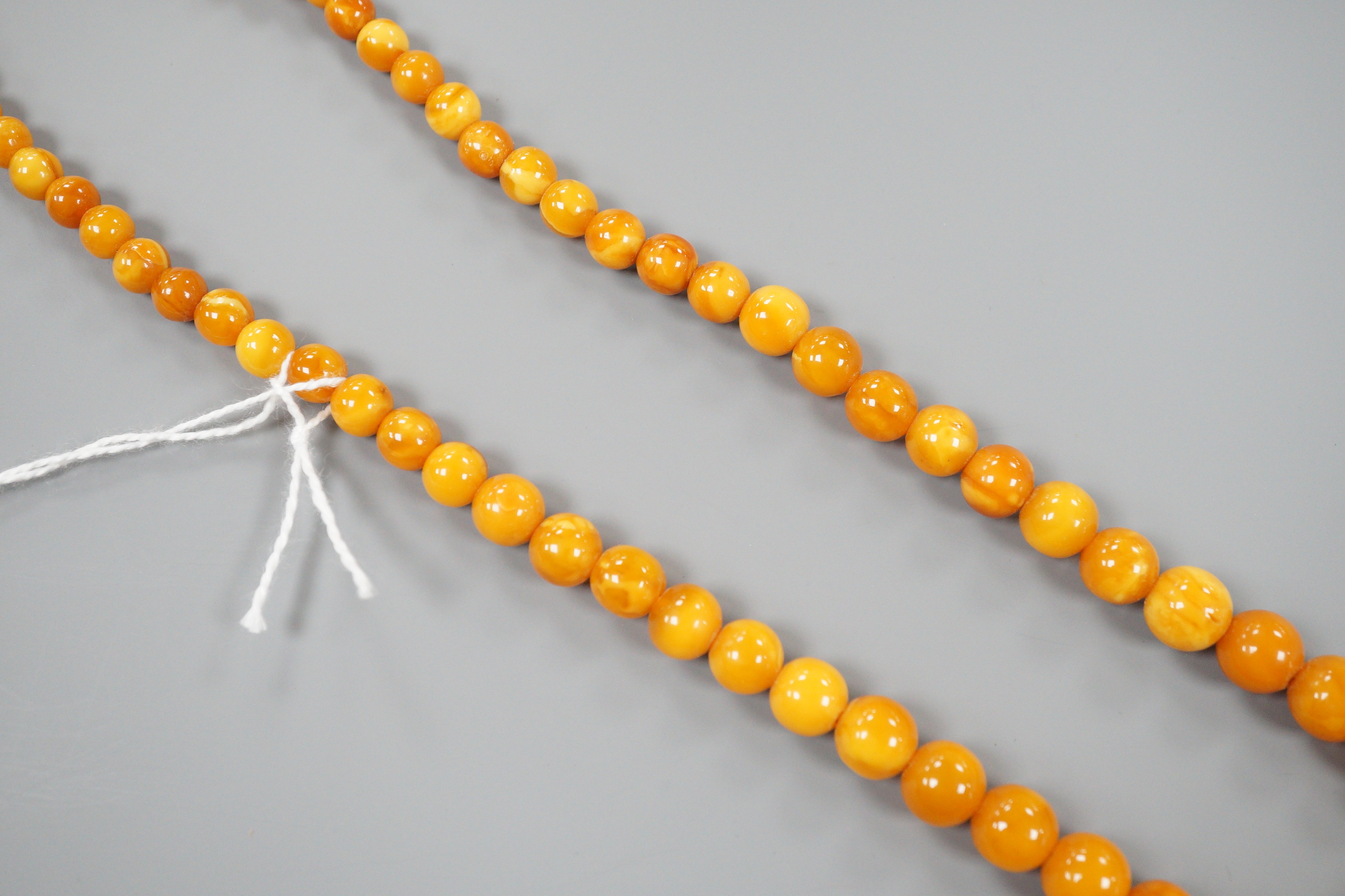 A singe strand graduated circular amber bead necklace, 42cm, gross weight 16 grams.